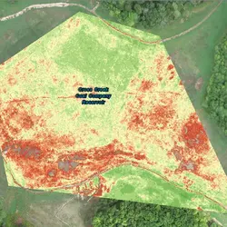 Remote Sensing Studies